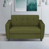 ARRA New Remo Two Seater Sofa in Grass Green Color Fabric 2 Seater  Sofa (Finish Color - Grass Green, DIY(Do-It-Yourself))