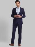 Raymond 2 Piece Suit Solid Men Suit