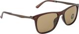 Mast & Harbour Wayfarer Sunglasses (For Men & Women, Brown)