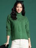 Dressberry Self Design Turtle Neck Casual Women Green Sweater