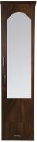 CASPIAN Wooden Almirah for Clothes and Stacking space -Home Furniture Storage Engineered Wood 1 Door Wardrobe (Finish Color - Brown, Mirror Included, Pre-assembled)