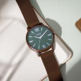 SONATA Poze Brown Strap with Green Dial Analog Watch  - For Men