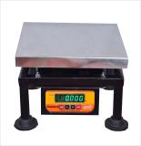 GRAMTECH Weight 100kg x 10g Weighing Scale Machine Double Display for Shop Weighing Scale (Silver)