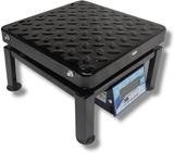 KiloMaxx KM-16, 100Kg With Double Ultra Bright Green Display For Shop Factories Corn Weighing Scale (12 * 12 inches, Ms Rugged)