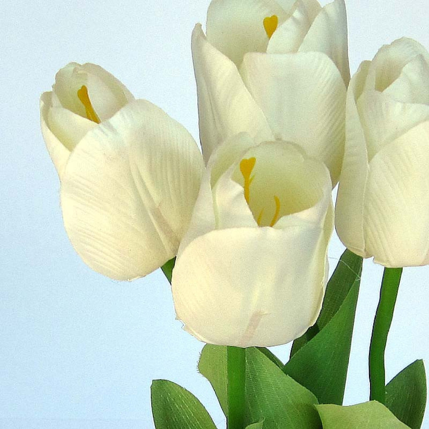 Ginni Bloom White Tulips Artificial Flower Price in India  Buy Ginni Bloom White Tulips 