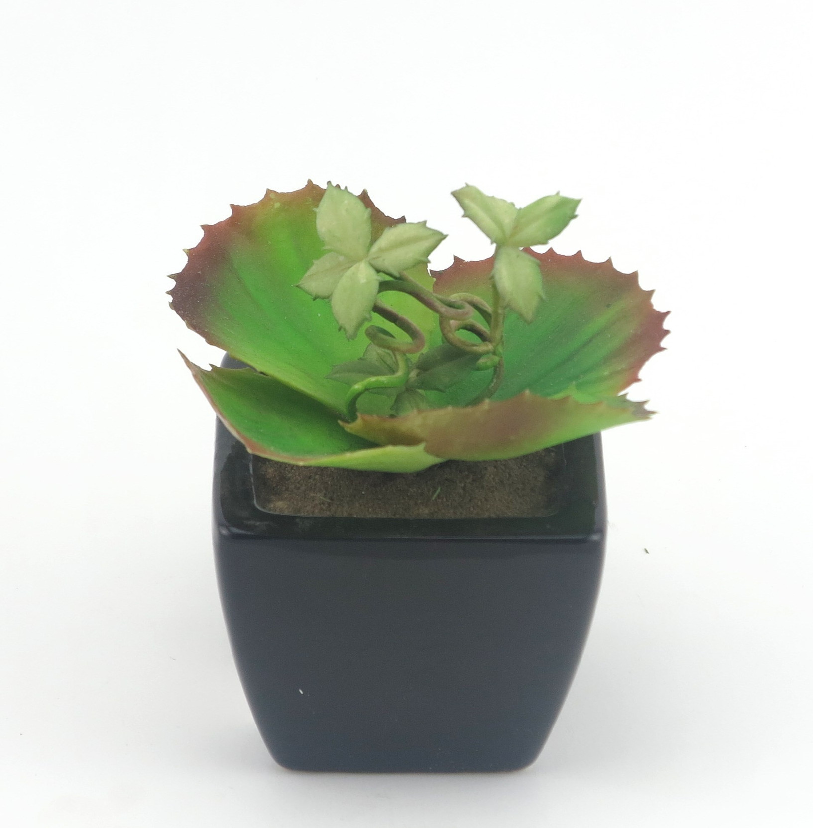 Importwala Cactus With Pot Bonsai Wild Artificial Plant with Pot Price