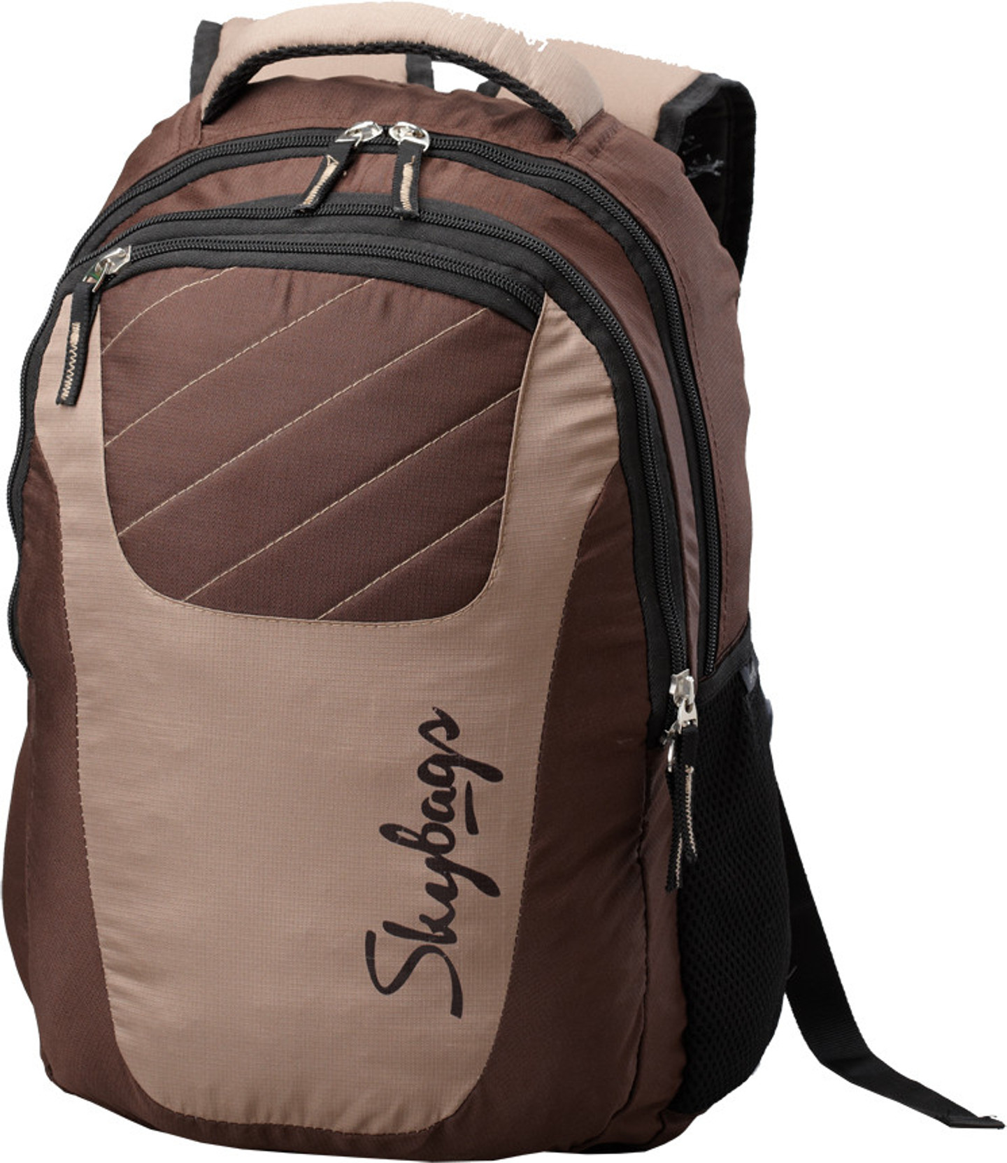 Skybags Backpack Brown Price in India