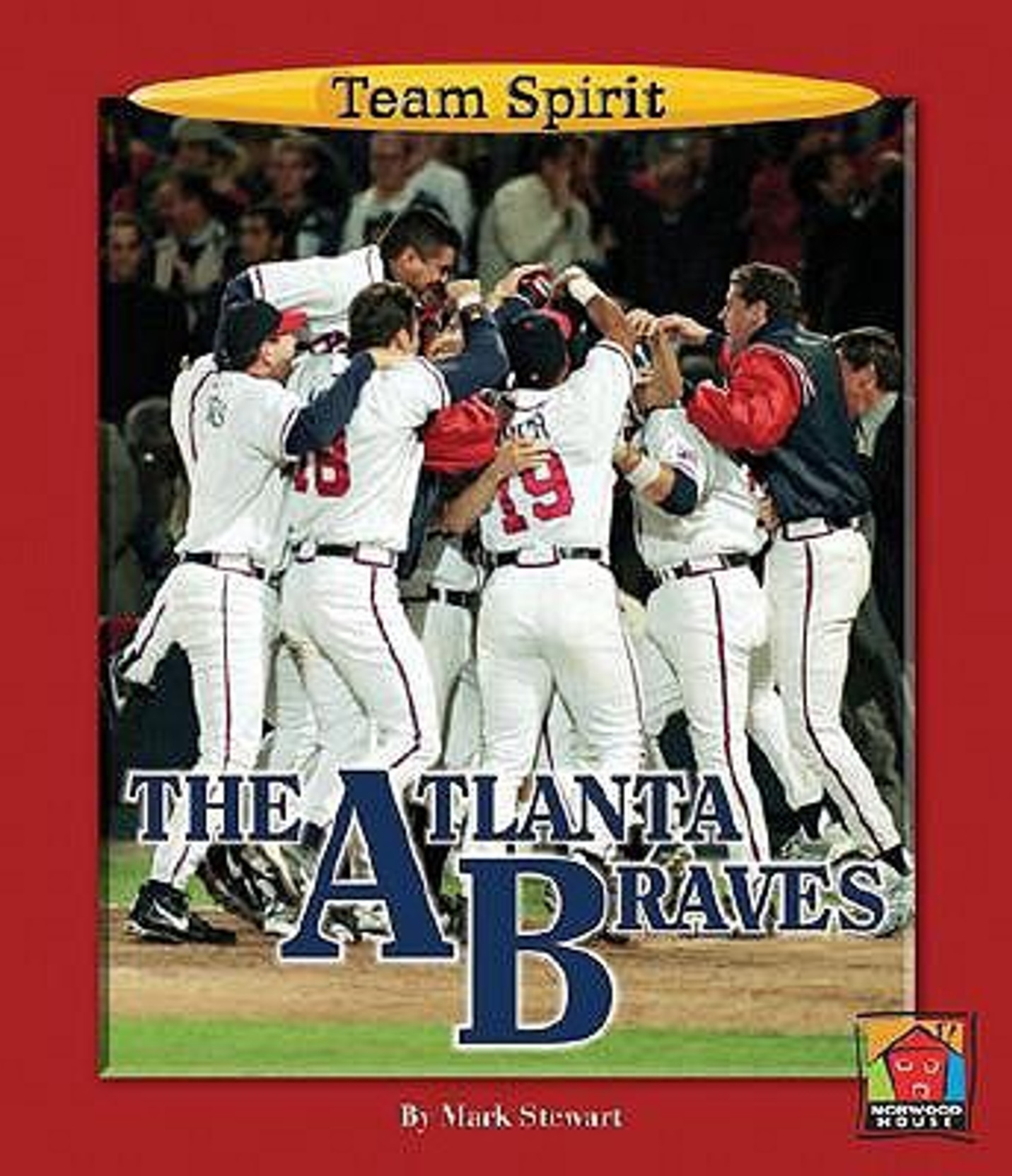 atlanta braves spirit jersey