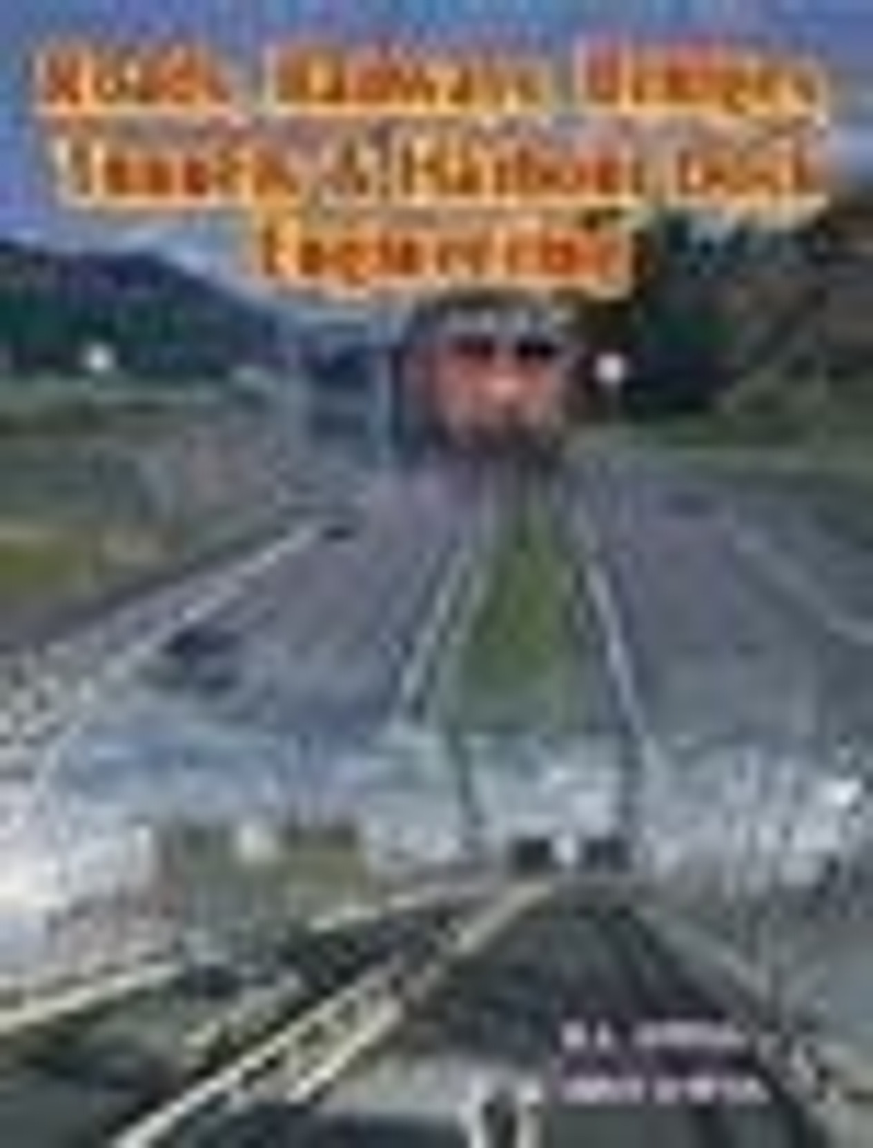 Roads, Railways, Bridges, Tunnels And Harbour Dock Engineering Buy