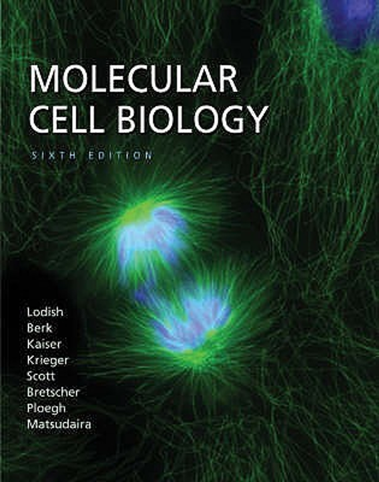 Molecular Cell Biology 6TH Edition 6th Revised edition Edition - Buy