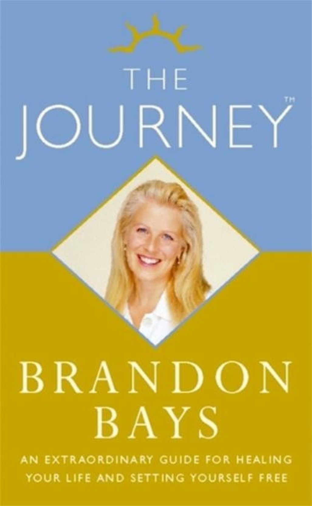 the journey book by brandon bays