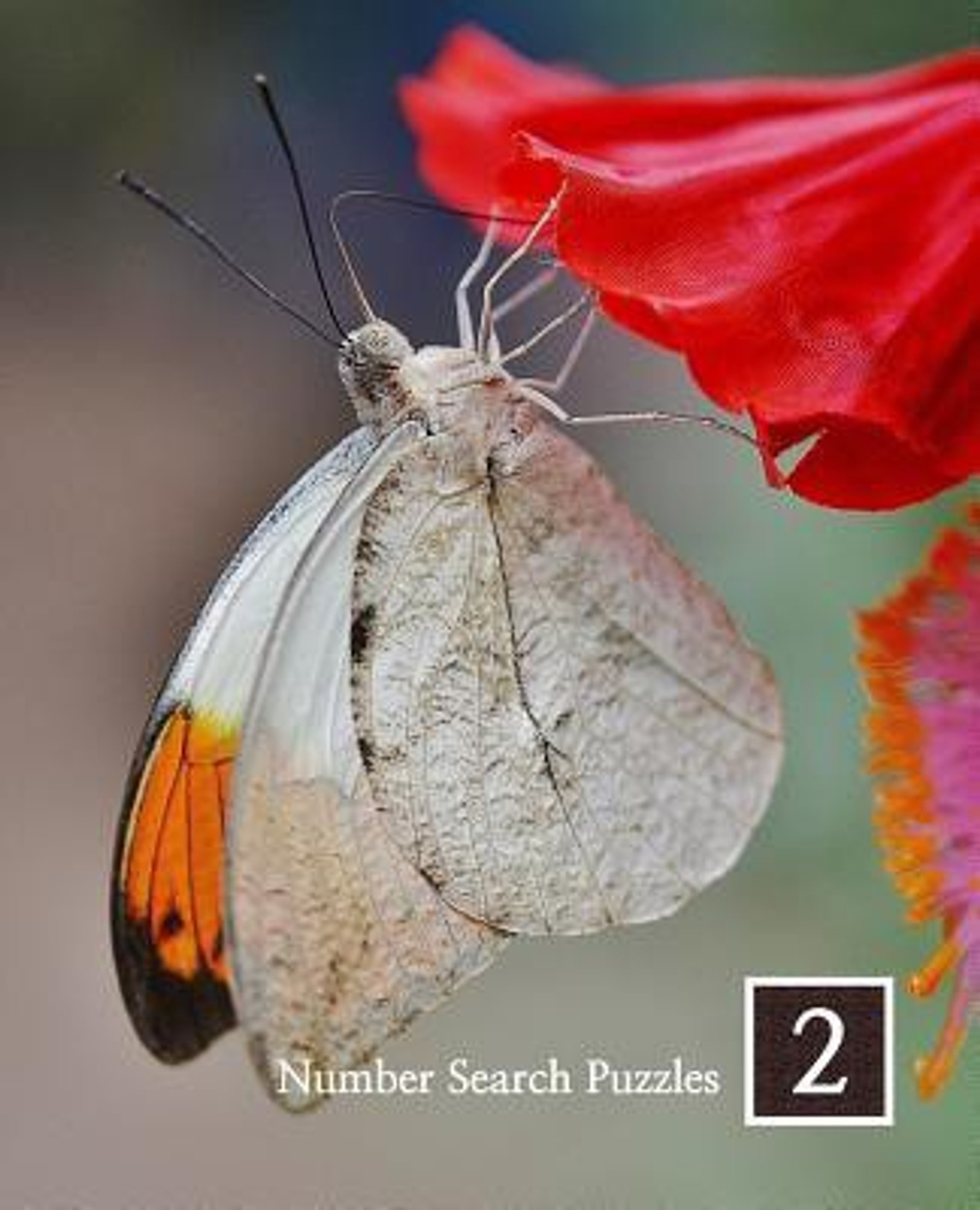 Number Search Puzzles 2 100 Elegant Puzzles In Large Print - 