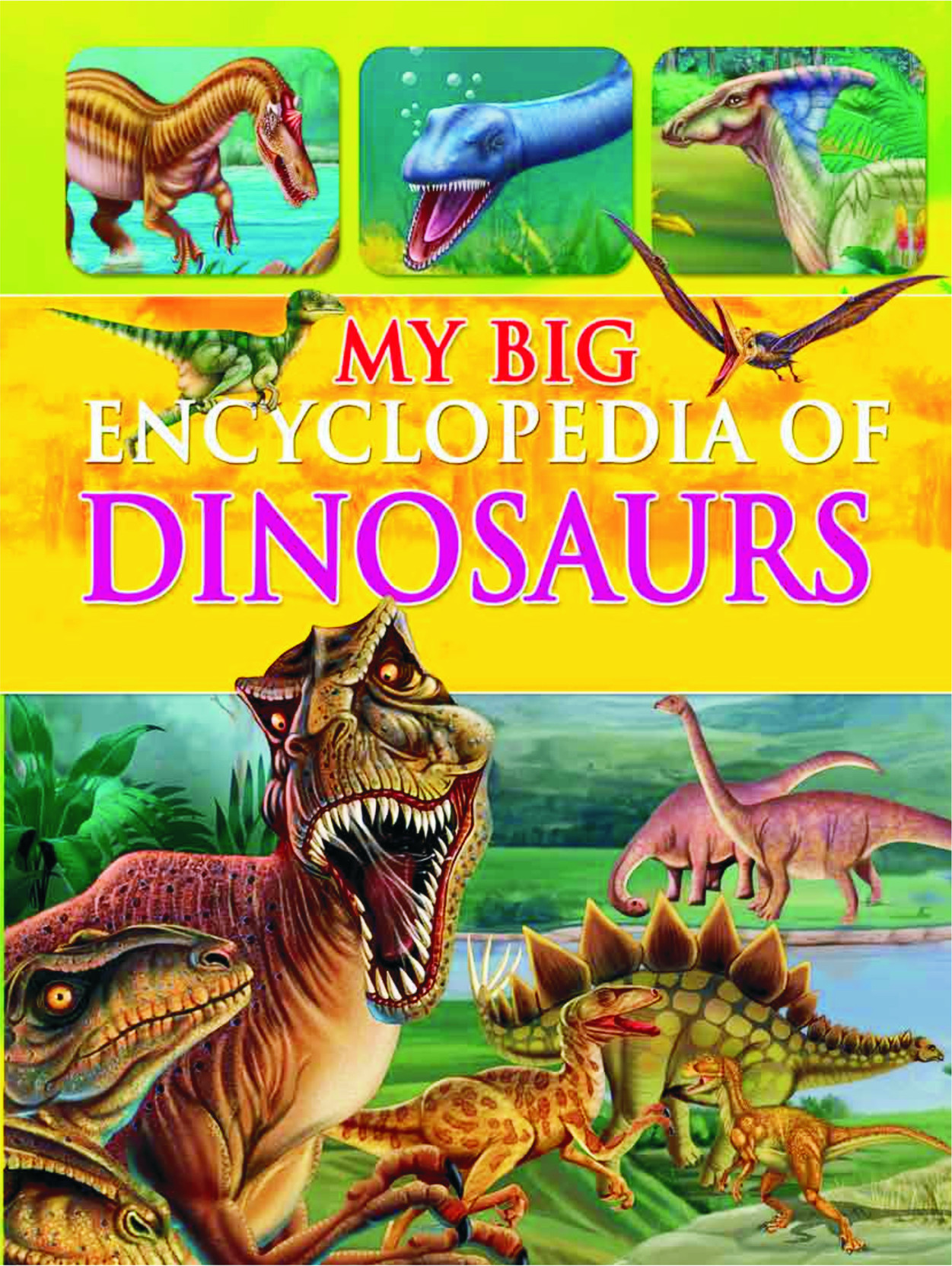My Big Encyclopedia Of Dinosaurs Buy My Big Encyclopedia