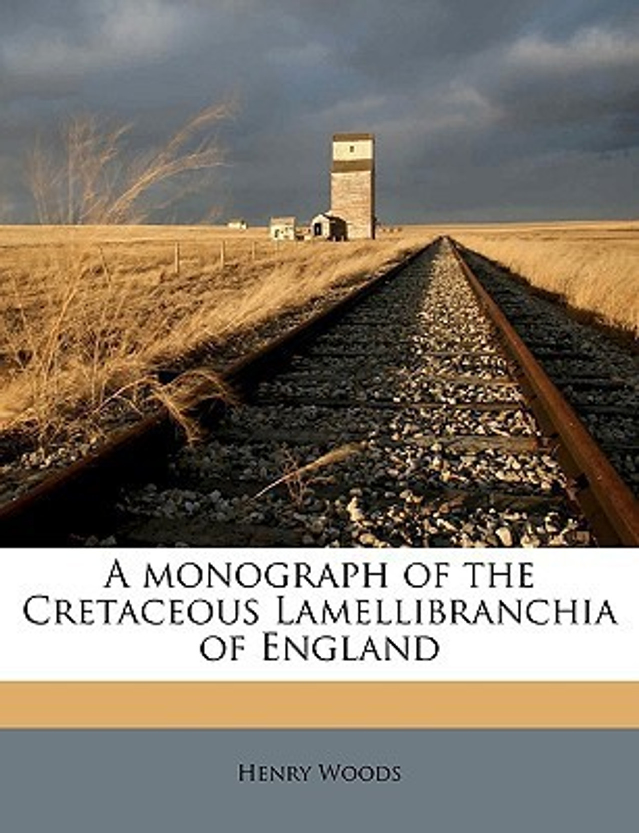 A Monograph Of The Cretaceous Lamellibranchia Of England - 