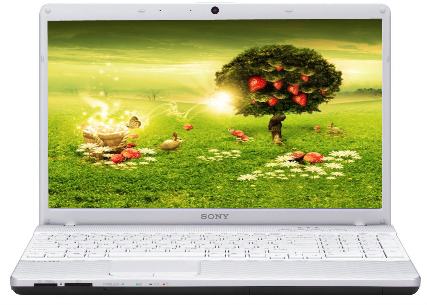 Sony VAIO VPCEH25EN Laptop (2nd Gen Ci3/ 2GB/ 32GB/ Win7 HB/ 512MB Graph) Rs. Price in India
