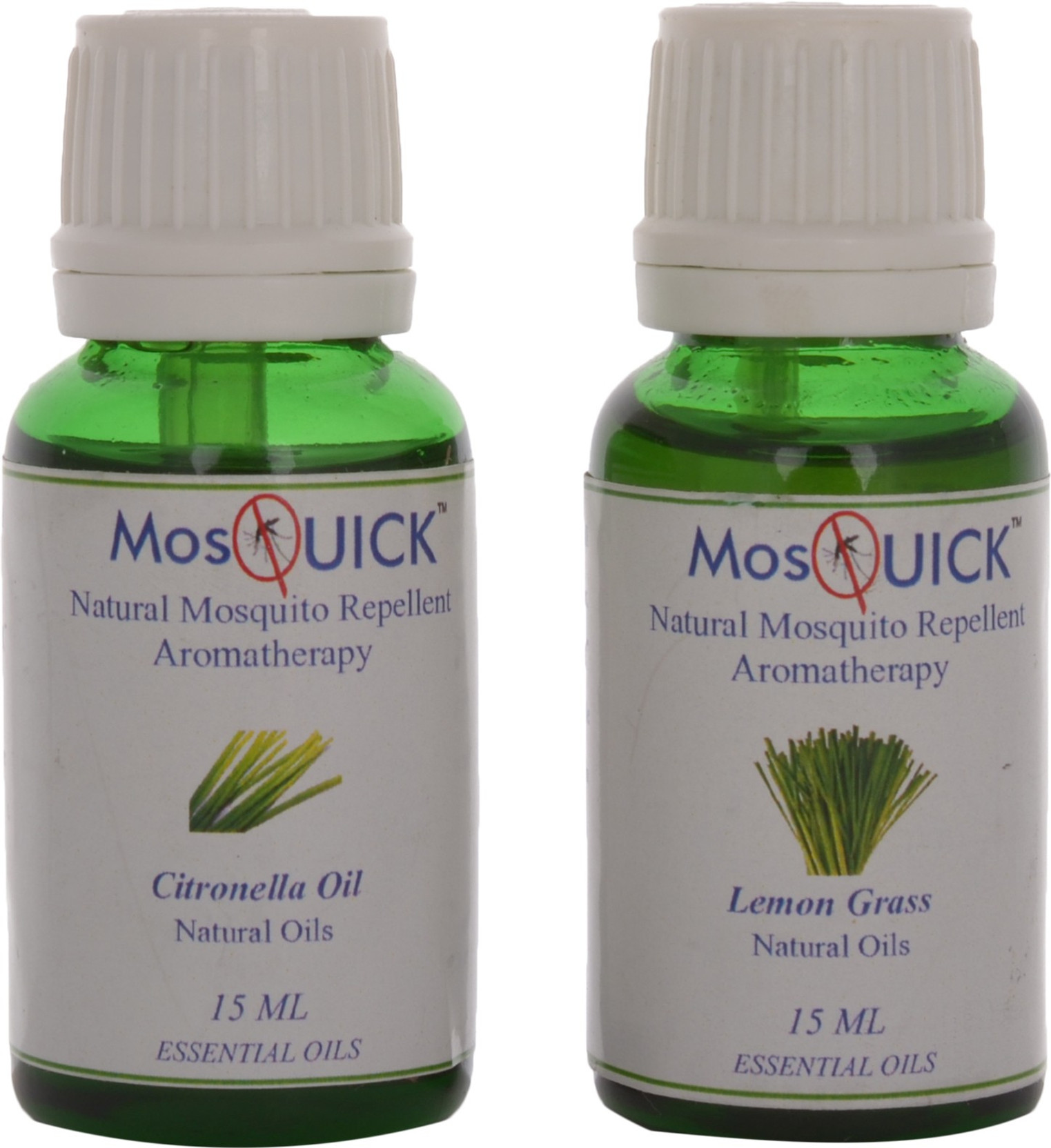 4 Plants Organic Lemongrass Cymbopogon citratus