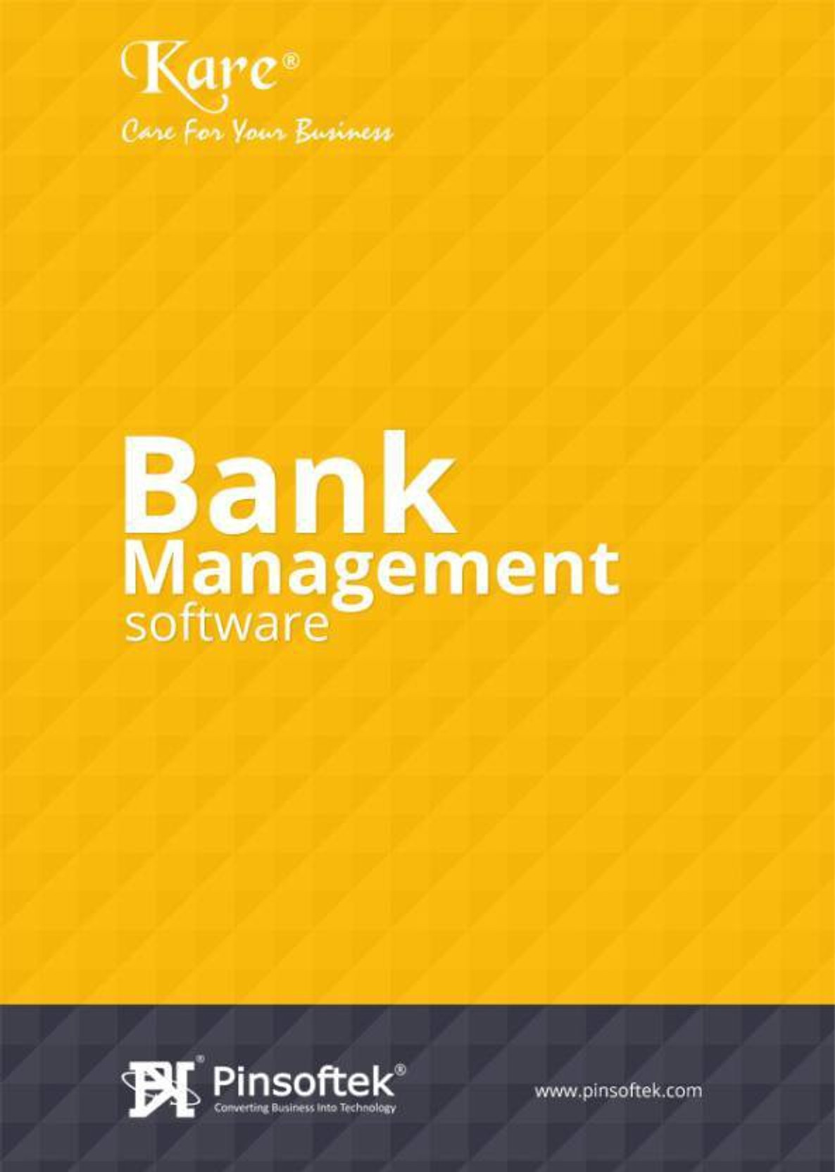 Pinsoftek Kare The Easiest Bank Management Software 5user