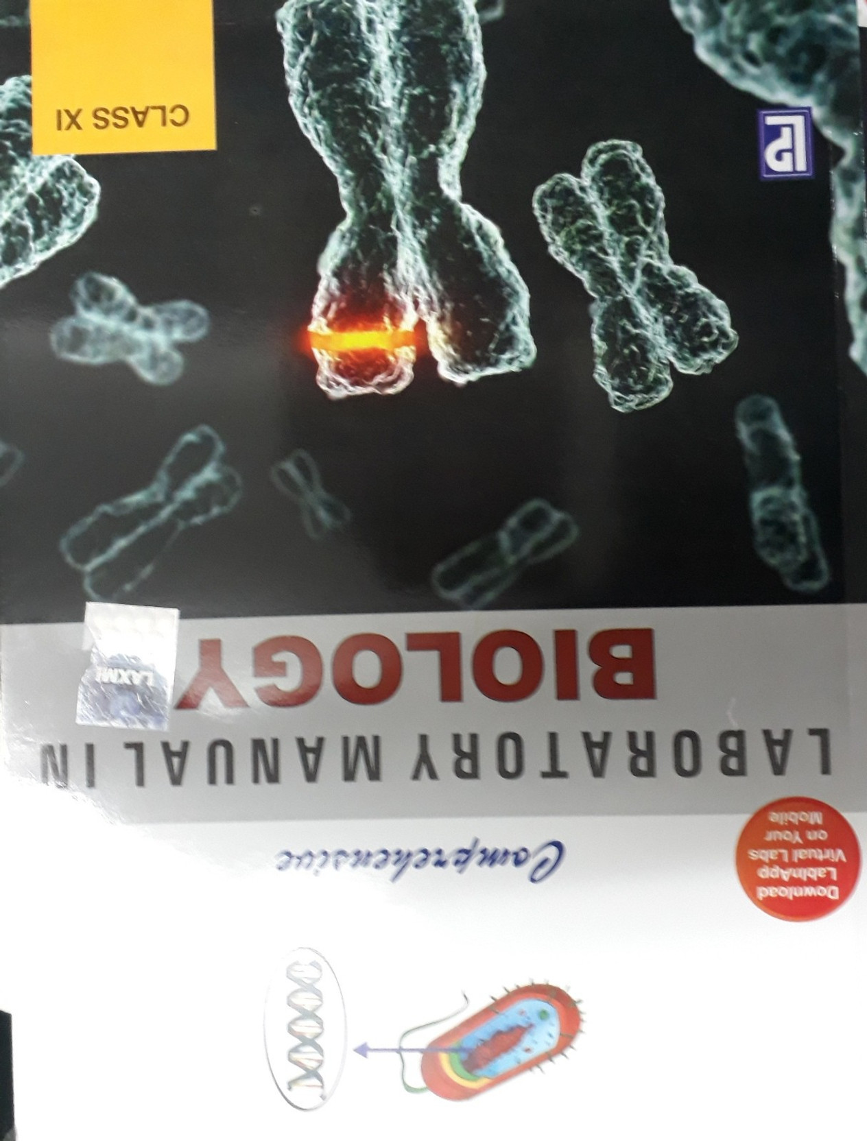 COMPREHENSIVE LABORATORY MANUAL IN BIOLOGY CLASS XI. ADD TO CART
