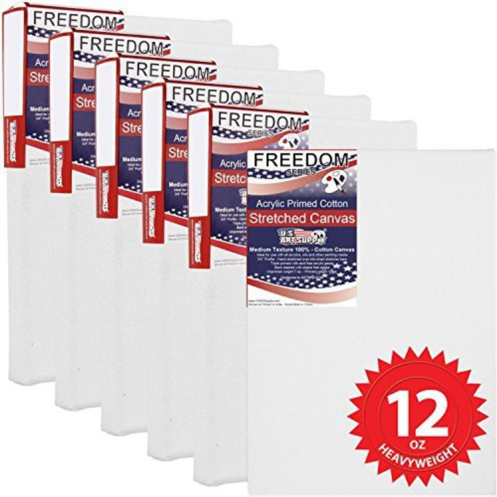 6 Pack 12 in x 24 in Professional Stretched Artist Canvas