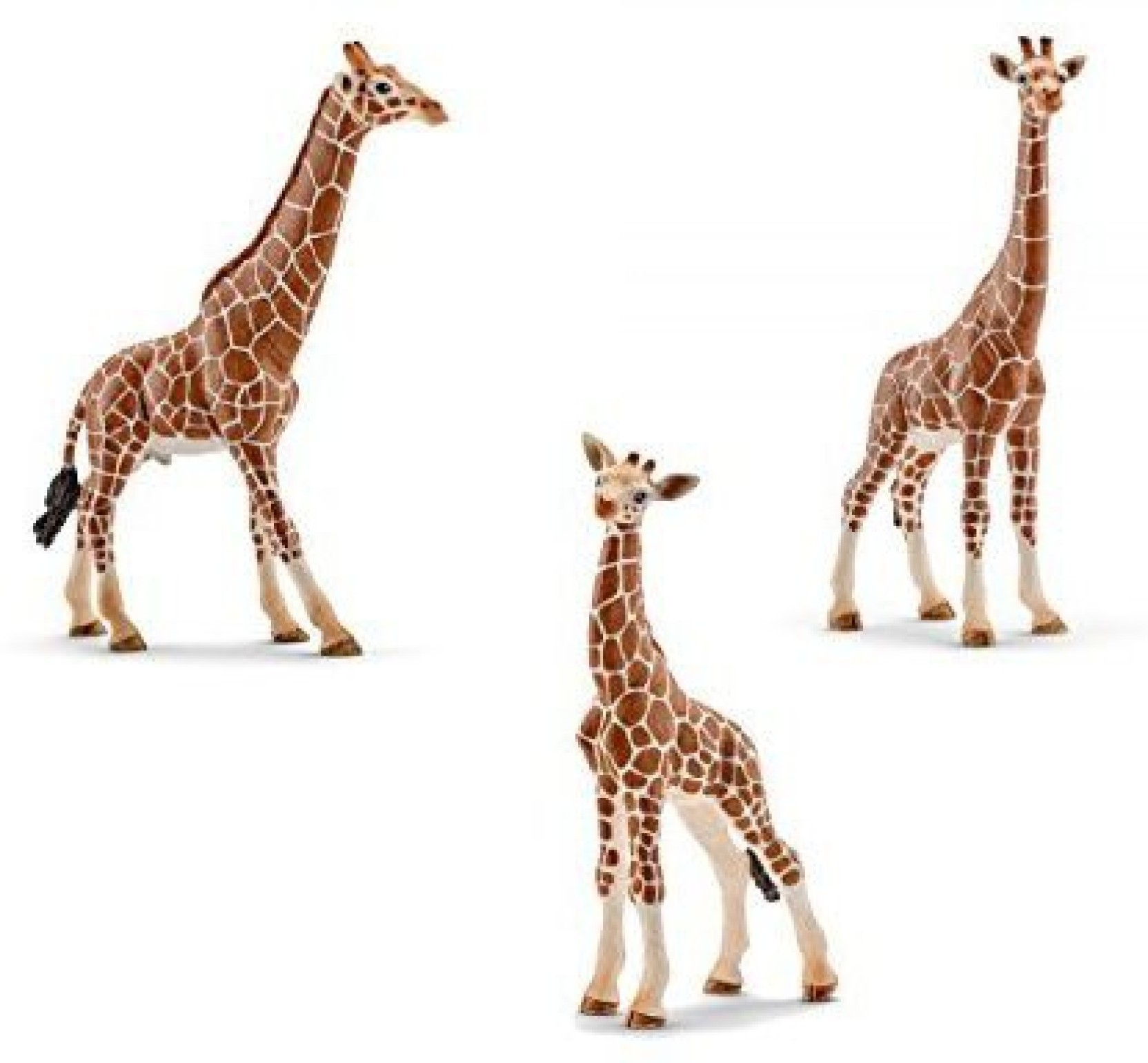 Какой тип развития характерен для сетчатого жирафа. Жираф самец Schleich 14389самец. Шляйх Жираф 2008. Шляйх 14320 Жираф. Фигурка жирафа.