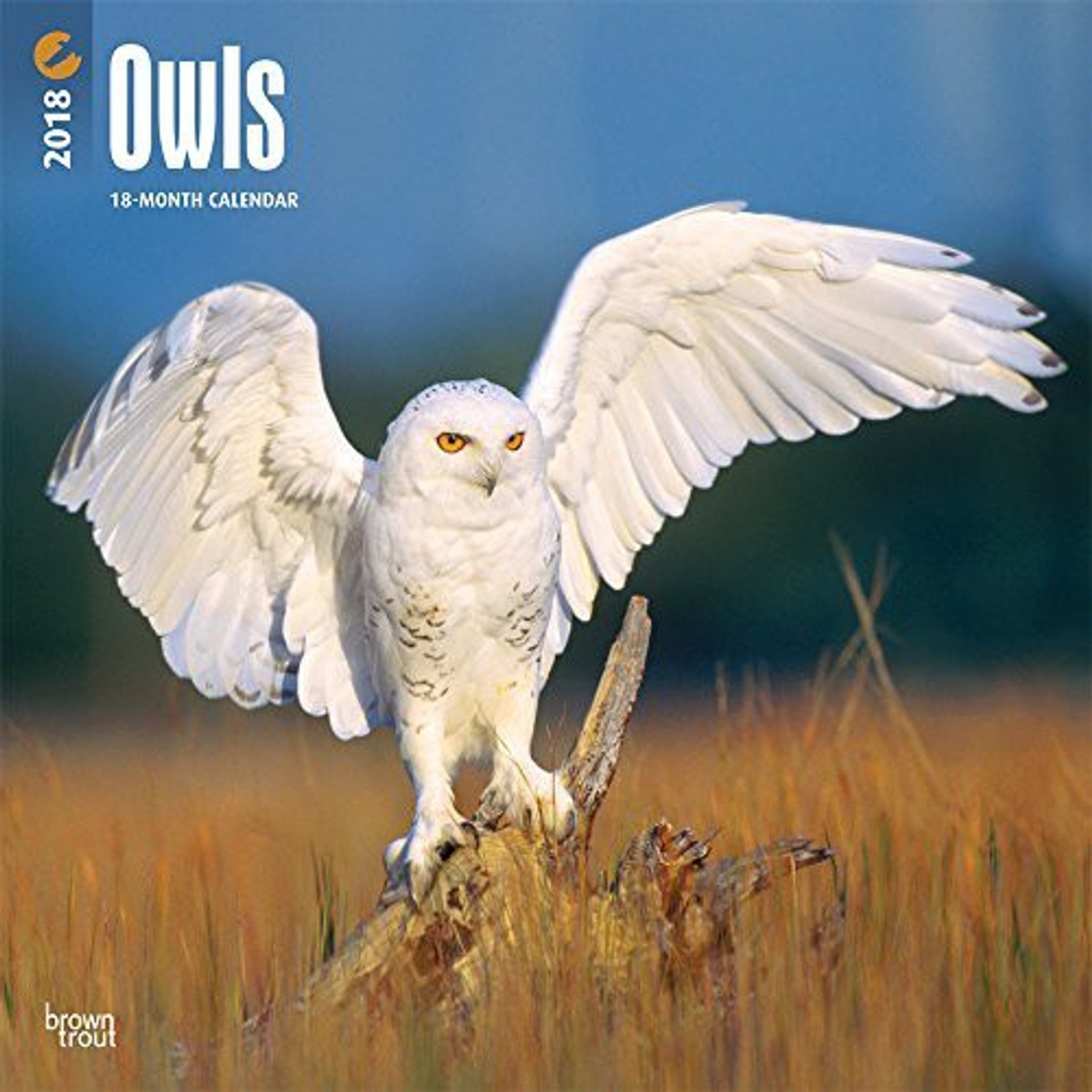 Owls 2018 12 X 12 Inch Monthly Square Wall Calendar