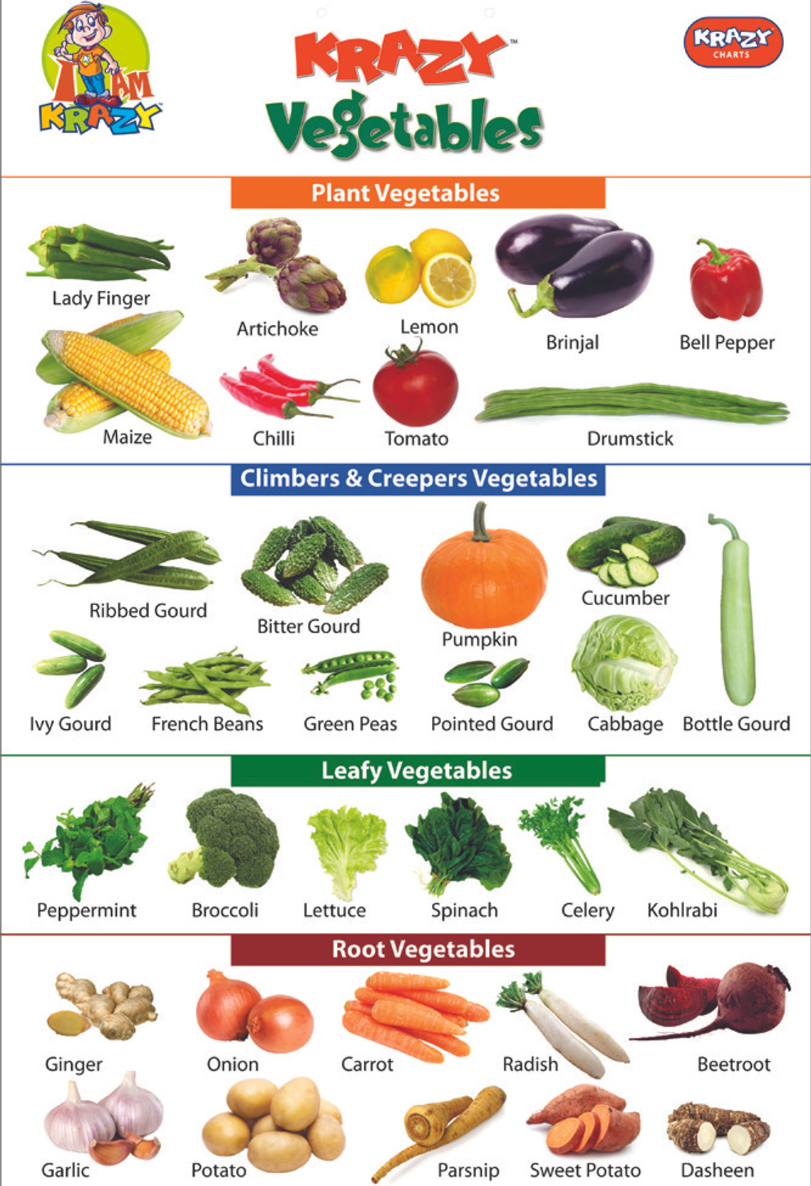 Mind Wealth Krazy Vegetables Chart Price in India Buy Mind Wealth