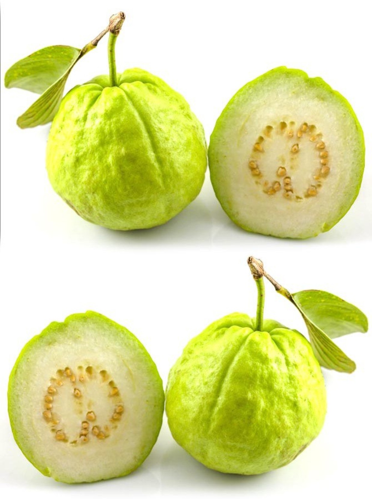 Real Seed Indian Guava (Amrood) Hybrid Imported Fruit Seeds Seed Price