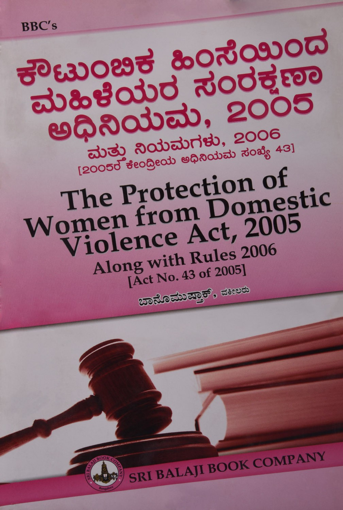 the domestic violence act 2005 the domestic violence act 2005