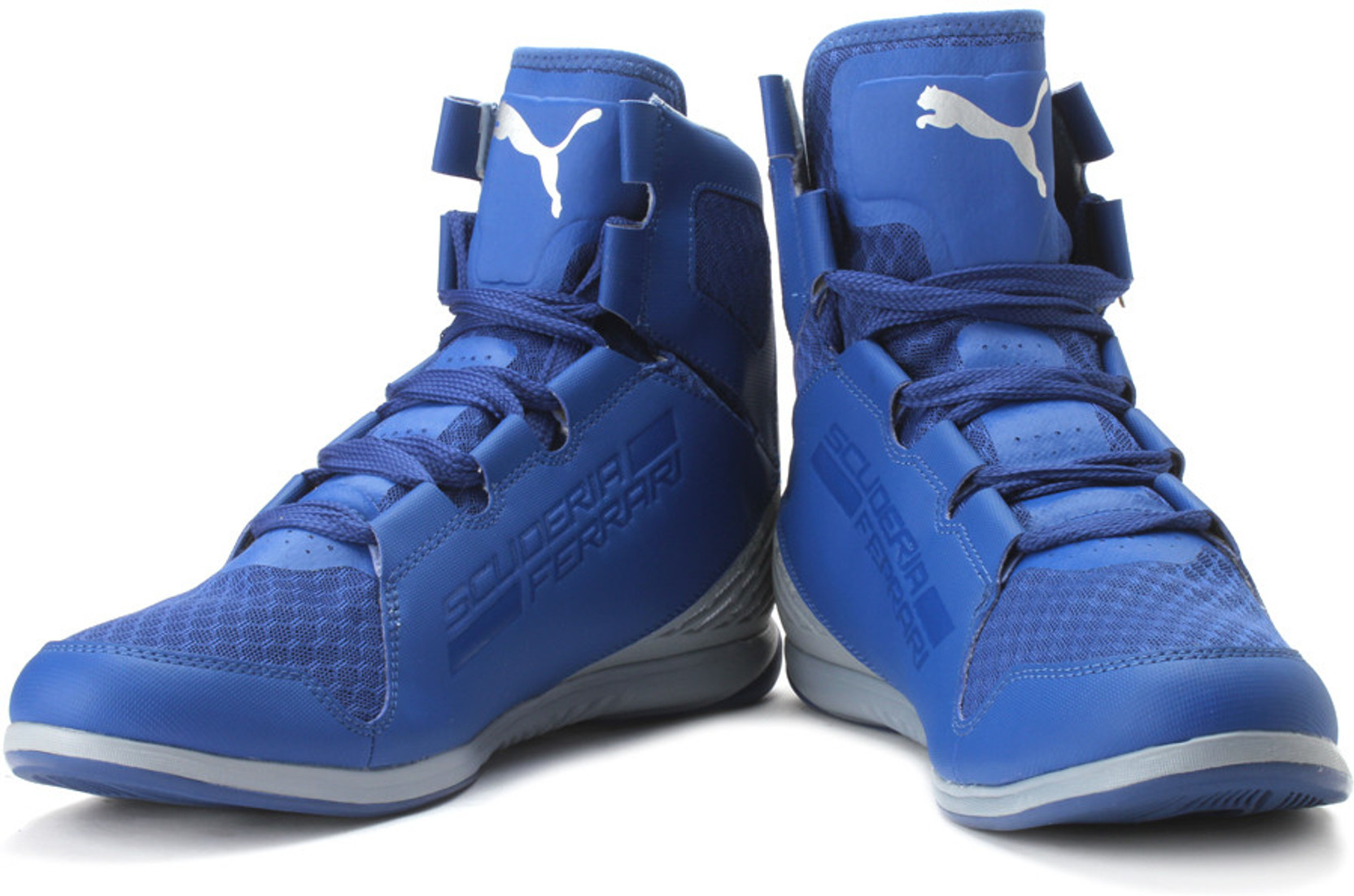 puma valorosso