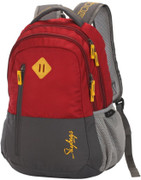 skybags footloose leo 03 grey & black color block backpack