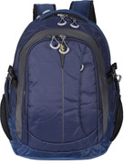 skybags fox plus business laptop backpack
