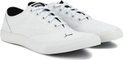 puma icon idp