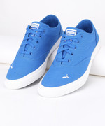 puma icon idp