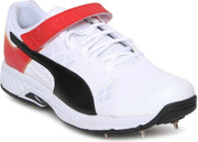 puma evospeed 18.1 cricket shoes