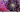 LG 123cm (49 inch) Ultra HD (4K) LED Smart TV(49UF772T)