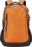 SKYBAGS Footlose Biltz 03 Grey 27 L Backpack(Multicolor)