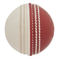omtex Incredible Cricket Leather Ball(Standard, Pack of 1, Red, White)