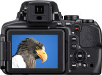 Nikon Coolpix P900 Price In India Buy Nikon Coolpix P900 Online At Flipkart Com Nikon Coolpix P900 Price In India Buy Nikon Coolpix P900 Online At Flipkart Com