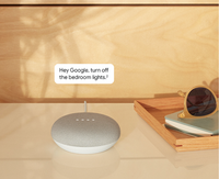 Google Home Mini