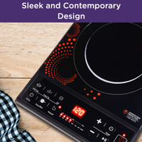 usha 3616 induction review
