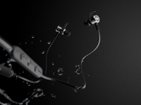 boAt Rockerz 255F Bluetooth Headset 
