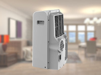Blue Star 1 Ton Portable AC 