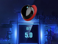 PTron Bassbuds Evo Bluetooth Headset 