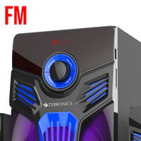 zebronics fantasy 4.1