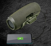 iball Musi Boom 30 W Bluetooth Speaker 
