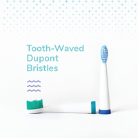 caresmith spark rechargeable electric toothbrush