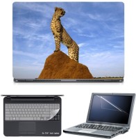Skin Yard Tiger on Hill Laptop Skin with Screen Protector & Keyboard Skin -15.6 Inch Combo Set   Laptop Accessories  (Skin Yard)