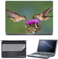 Skin Yard Humming Bird Couple Laptop Skin with Screen Protector & Keyboard Skin -15.6 Inch Combo Set   Laptop Accessories  (Skin Yard)