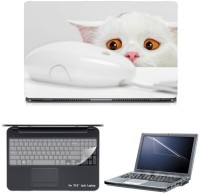 Skin Yard Golden Eye Cat Seen Mouse Sparkle Laptop Skin with Screen Protector & Keyguard -15.6 Inch Combo Set   Laptop Accessories  (Skin Yard)