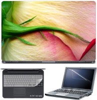 Skin Yard Tulip Macro Rose Laptop Skin with Screen Protector & Keyboard Skin -15.6 Inch Combo Set   Laptop Accessories  (Skin Yard)